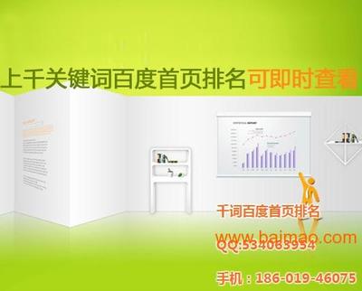 北京網(wǎng)站優(yōu)化與網(wǎng)絡(luò)營(yíng)銷(xiāo)推廣 賦能中小企業(yè)線(xiàn)上增長(zhǎng)新引擎